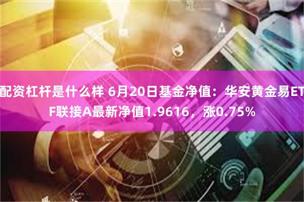 配资杠杆是什么样 6月20日基金净值：华安黄金易ETF联接A最新净值1.9616，涨0.75%