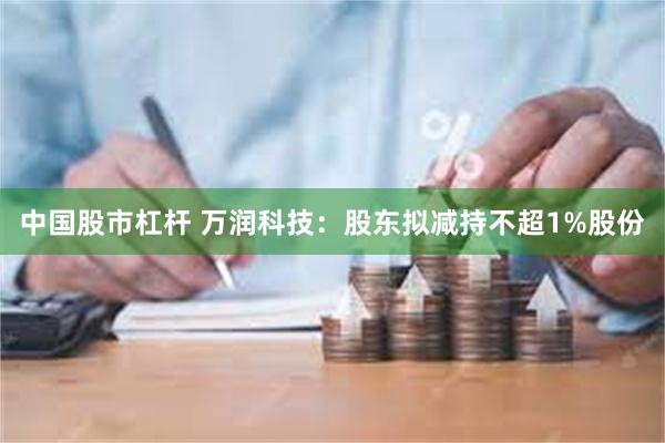 中国股市杠杆 万润科技：股东拟减持不超1%股份