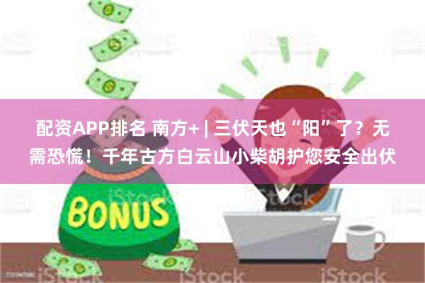 配资APP排名 南方+ | 三伏天也“阳”了？无需恐慌！千年古方白云山小柴胡护您安全出伏