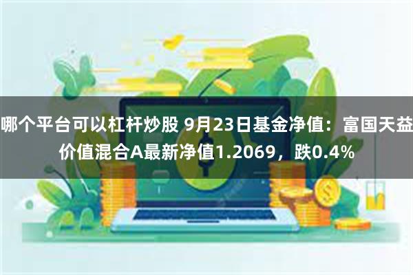 哪个平台可以杠杆炒股 9月23日基金净值：富国天益价值混合A最新净值1.2069，跌0.4%