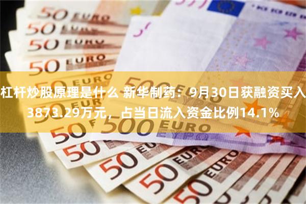 杠杆炒股原理是什么 新华制药：9月30日获融资买入3873.29万元，占当日流入资金比例14.1%