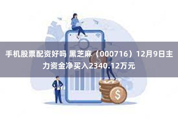 手机股票配资好吗 黑芝麻（000716）12月9日主力资金净买入2340.12万元