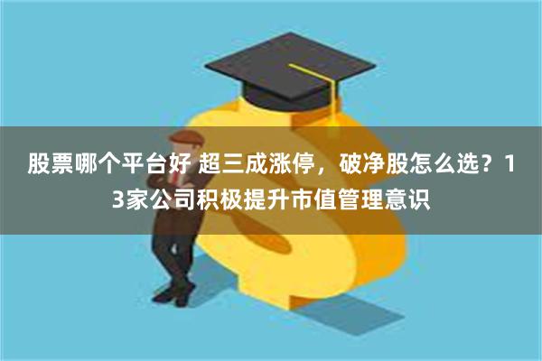 股票哪个平台好 超三成涨停，破净股怎么选？13家公司积极提升市值管理意识